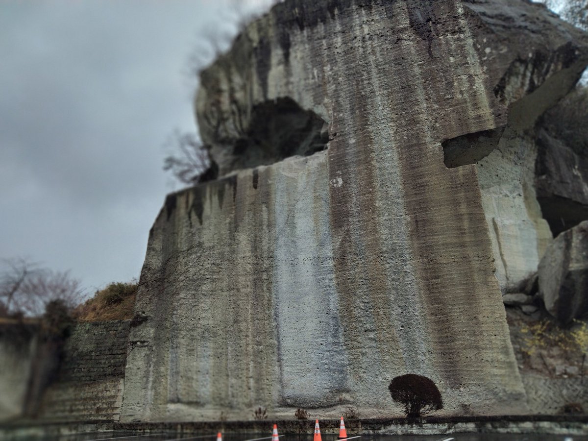 もうかのほし tweet media