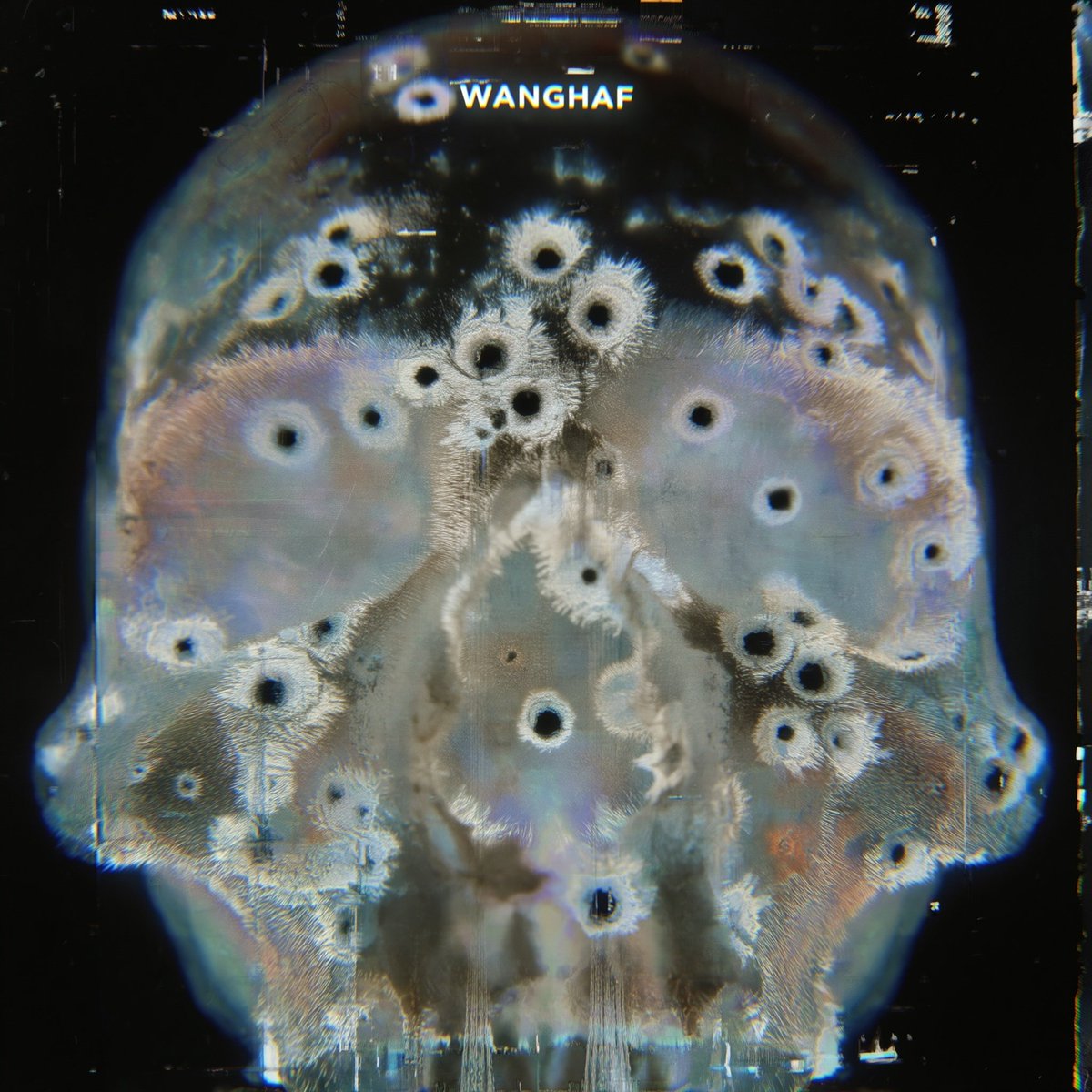 Qzoomer (@qzoomer1) on Twitter photo 