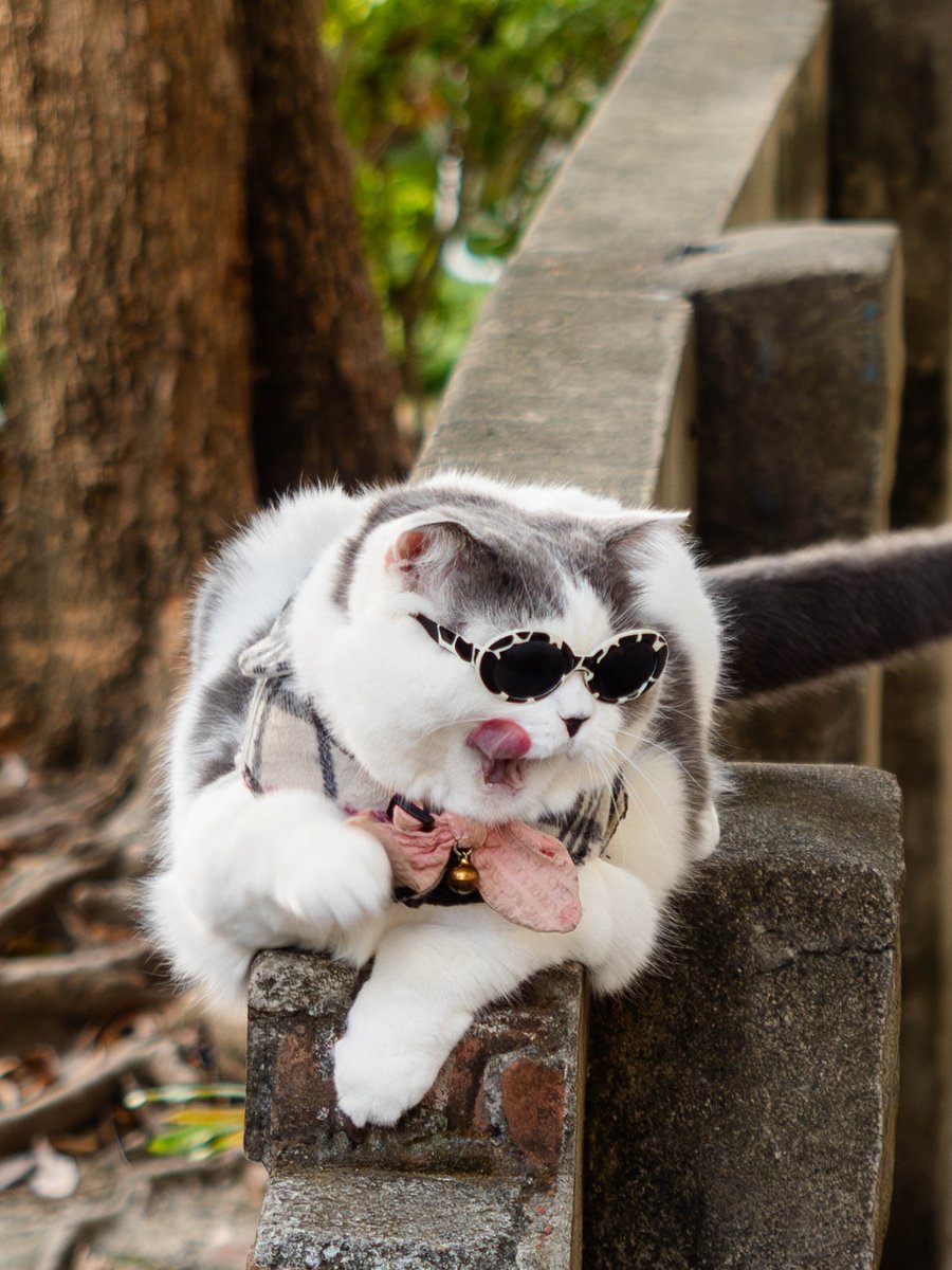 flyccat's tweet photo. https://t.co/YIC2DDCHFZ