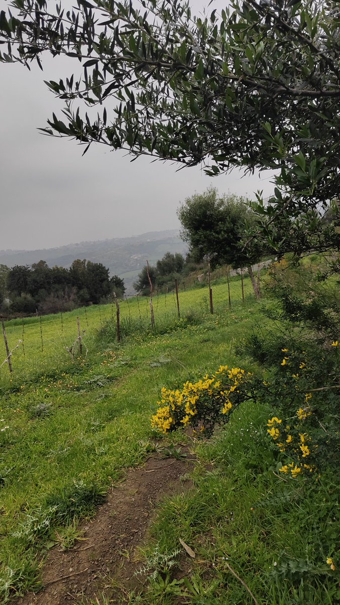 ๐ถ๐ป tweet media