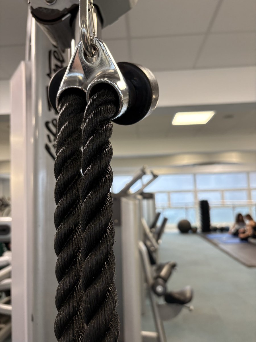 julie 🌺🇬🇧 tweet media