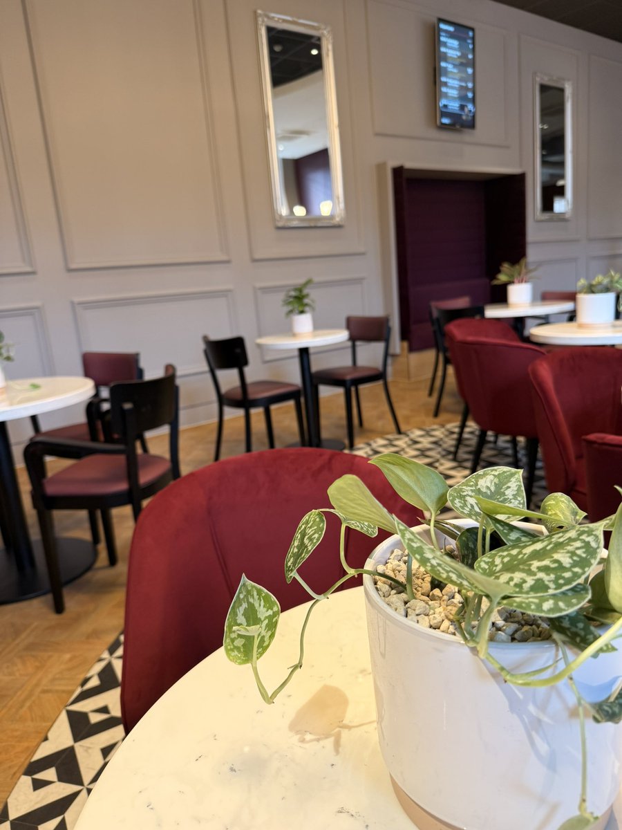 Stuart Thomas tweet media