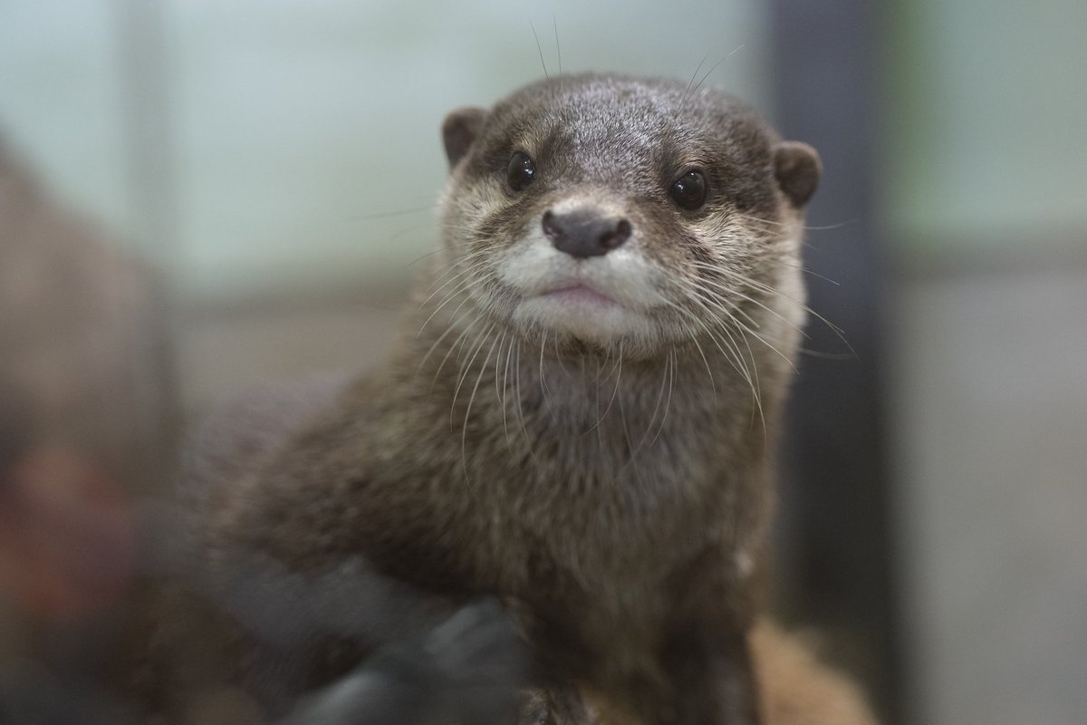 まるちゃん tweet media