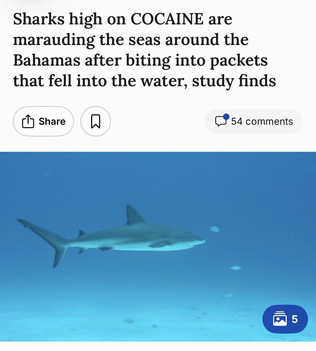 john sturgis tweet media