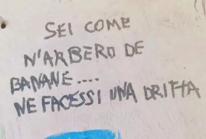 Daniele - Parallelo Blu tweet media