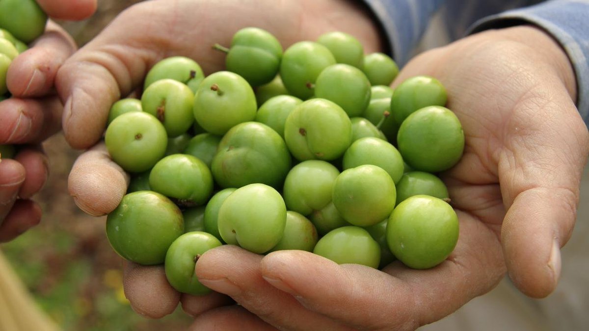 etginlik tweet media