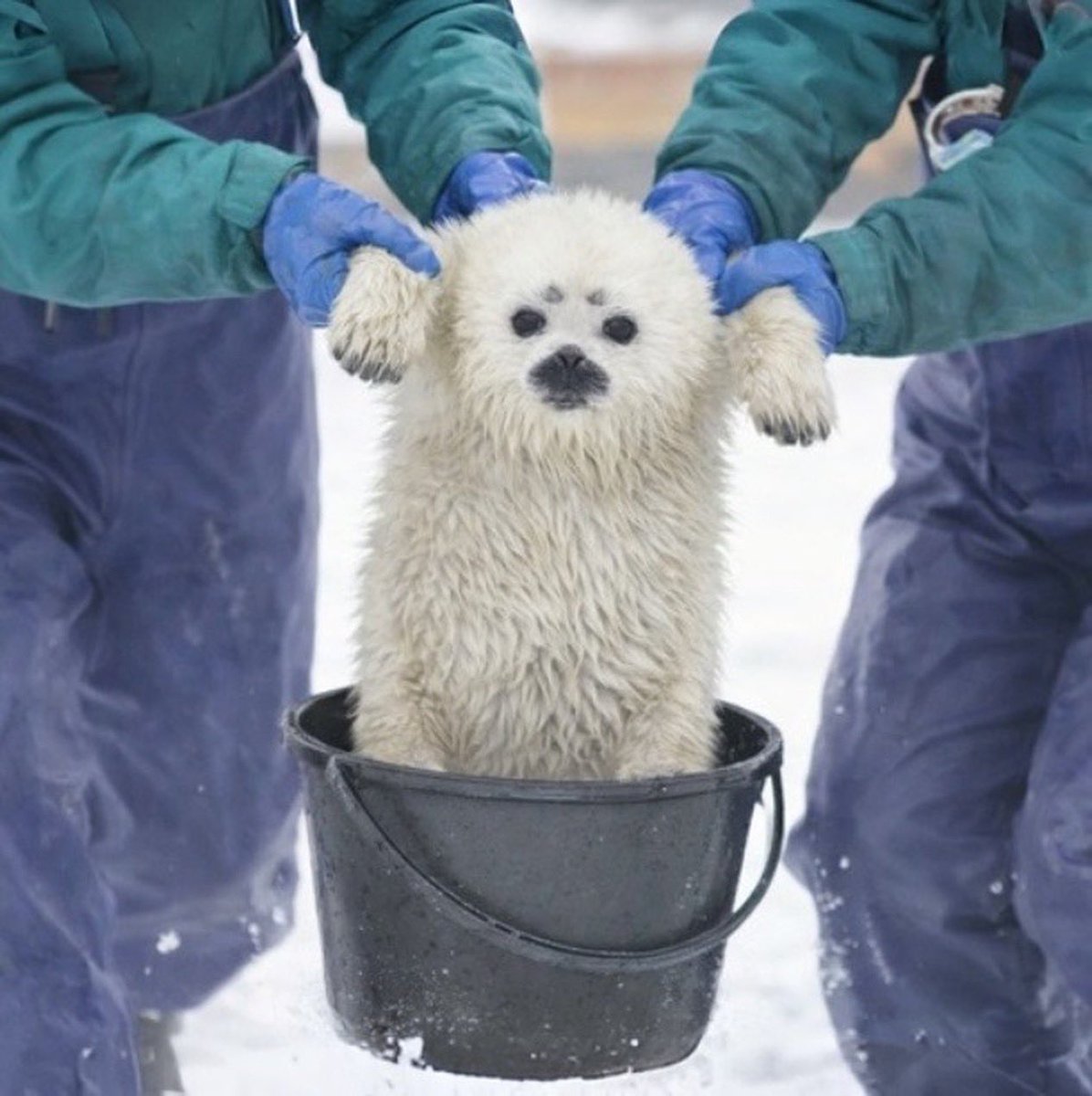 𝐏𝐲𝐫𝐨 𝐑𝐞𝐝 tweet media