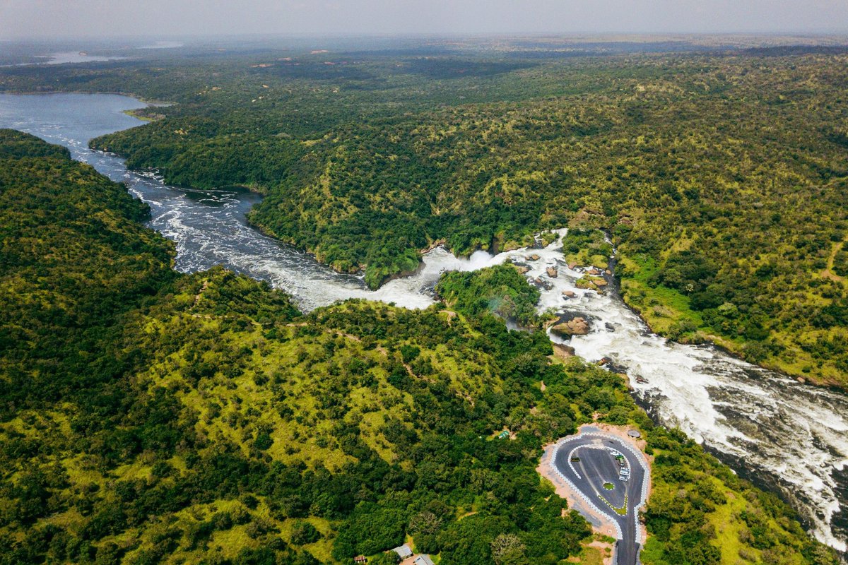 JoiceLuoPride's tweet photo. Primary children can visit a national park without leaving the classroom
Single tourism documentary can turn an ordinary lesson into an unforgettable adventure
From the roaring falls of Murchison Falls National Park to the amazing wildlife at Ug WildlifeEducationCentre
#EduTour https://t.co/aYO2XayySM