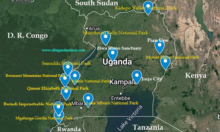JoiceLuoPride's tweet photo. Primary children can visit a national park without leaving the classroom
Single tourism documentary can turn an ordinary lesson into an unforgettable adventure
From the roaring falls of Murchison Falls National Park to the amazing wildlife at Ug WildlifeEducationCentre
#EduTour https://t.co/aYO2XayySM
