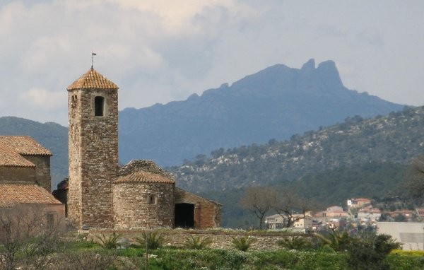 PetitsDracs🎗️ tweet media