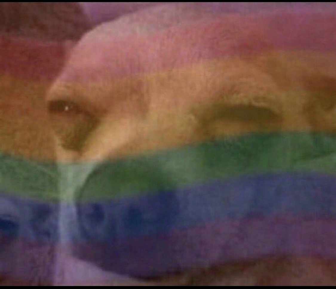 Š H Ê Û Ñ Ž Ÿ 🍀 tweet media