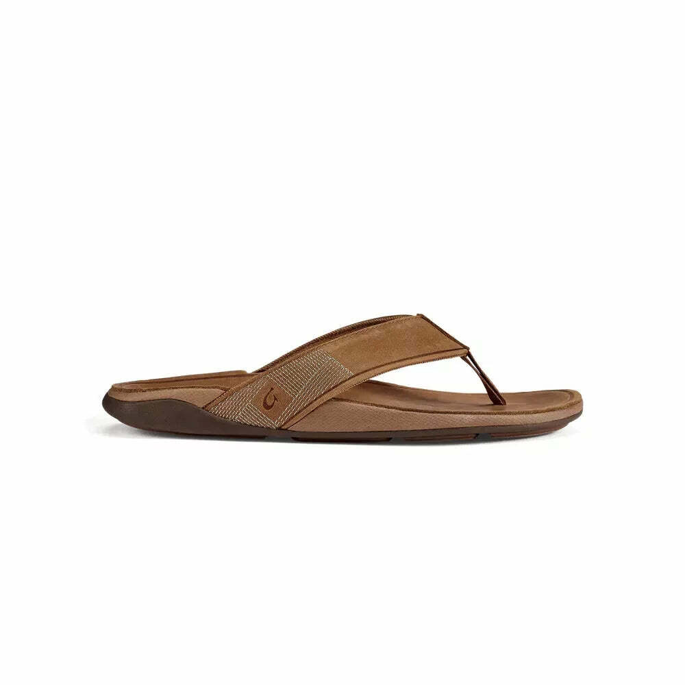 Sandy Point Progressive Sports tweet media