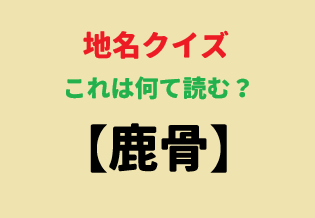 fortyRider@Ninja1000 tweet media