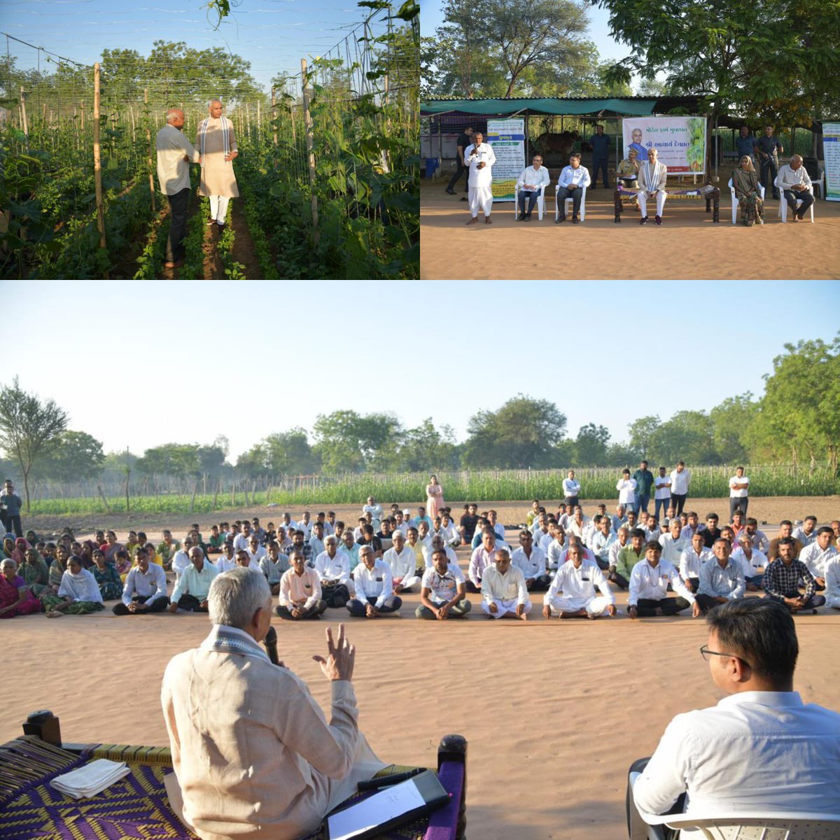 DDO AHMEDABAD tweet media