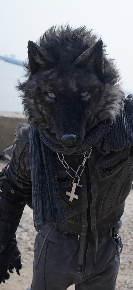 摩卡黑狗 tweet media