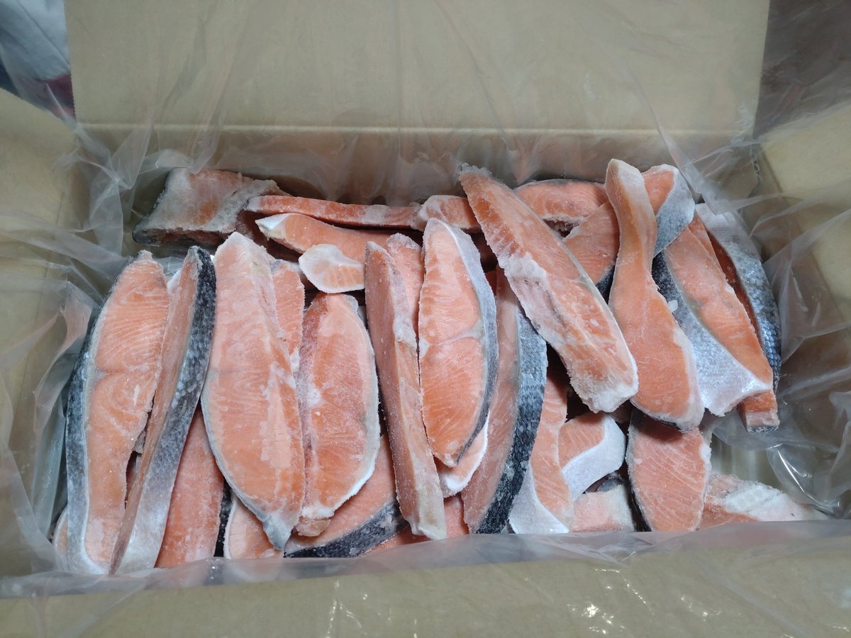 sunae_pinky's tweet photo. 今週に入って、ふるさと納税の返礼品が続々届く😋
この量の鮭の切り身……
せっせとラップ&amp;ジップロックしました😂
半年くらい持ちそう…😊 https://t.co/XtBQaLxSBS