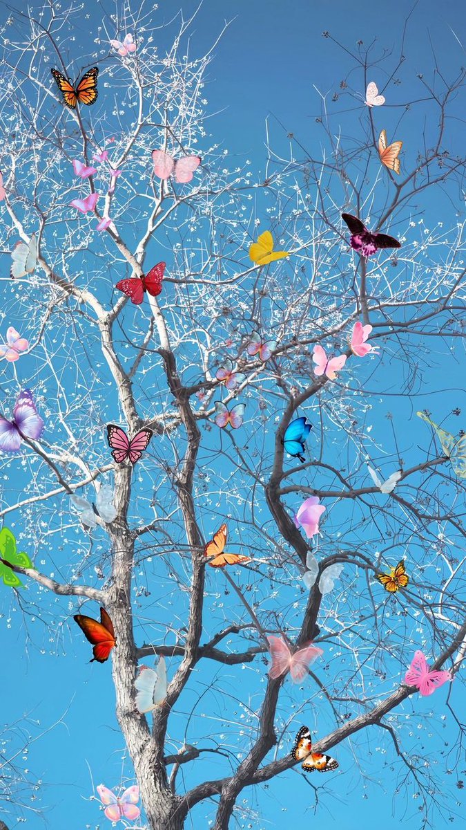 ✳️🪷🙏 tweet media