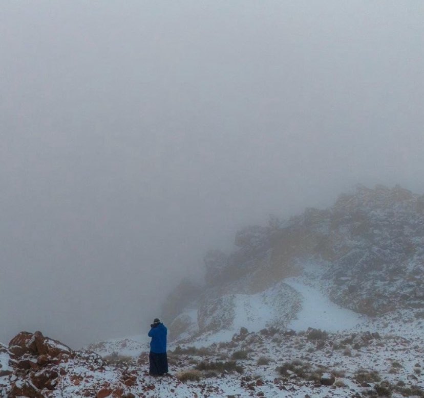 دالـيا. tweet media