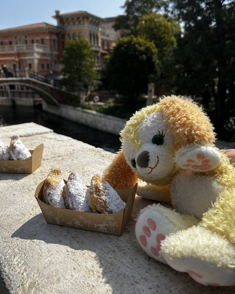 Enchanted_3yu's tweet photo. クッキーちゃんとシー❕🍪💛 https://t.co/UvNdlWt5Kb