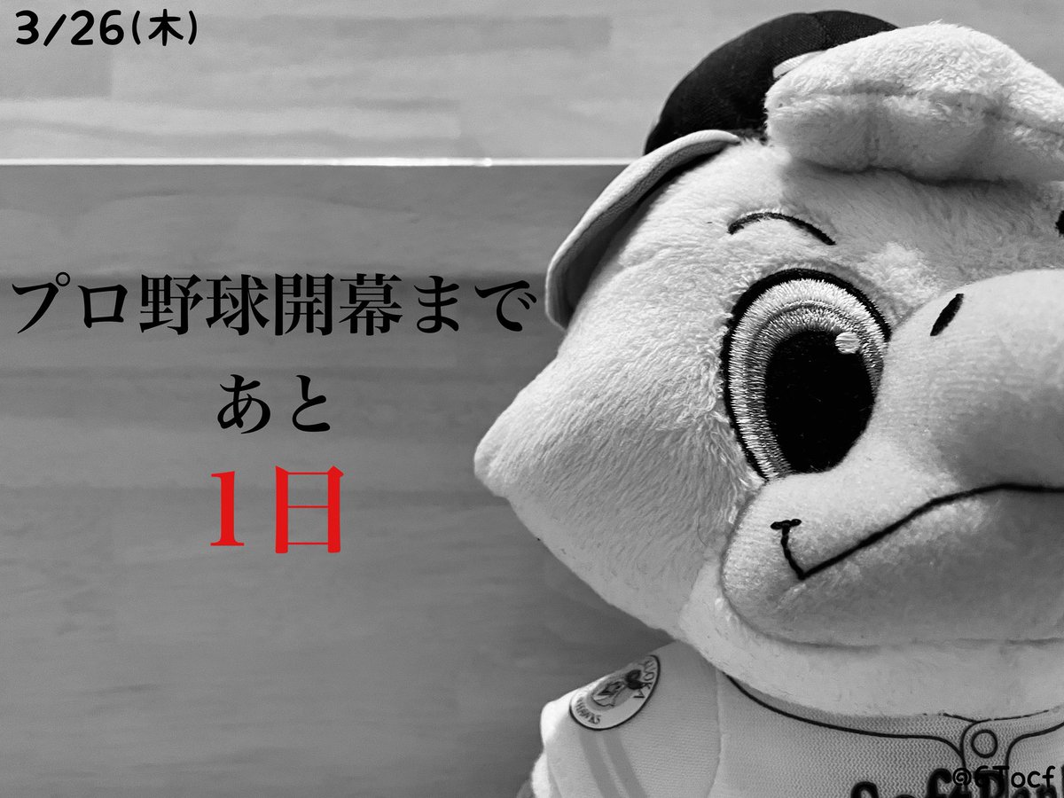 ただの野球好き tweet media