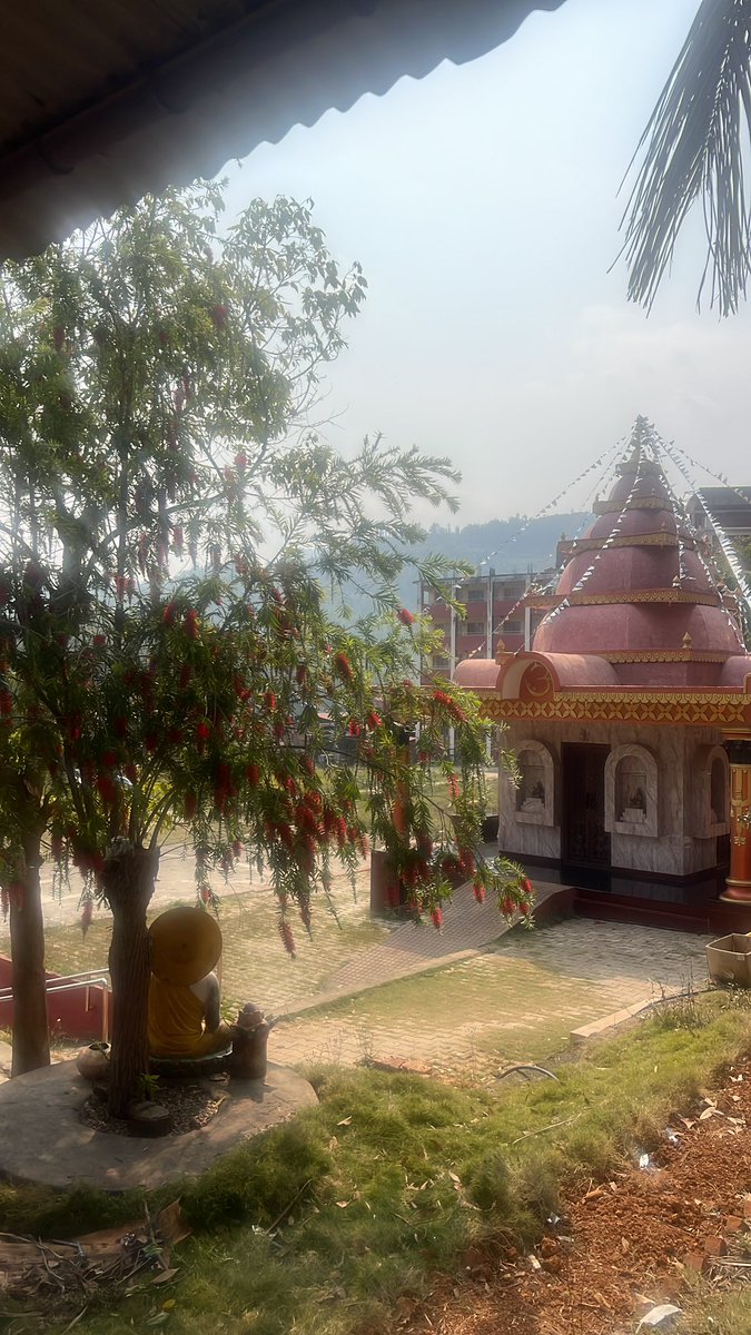 Weird enough, the warmth of the sun is unable to reach me these days.