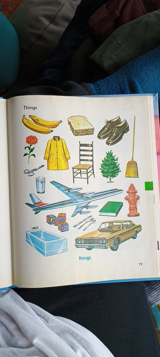 meadowsweet tweet media