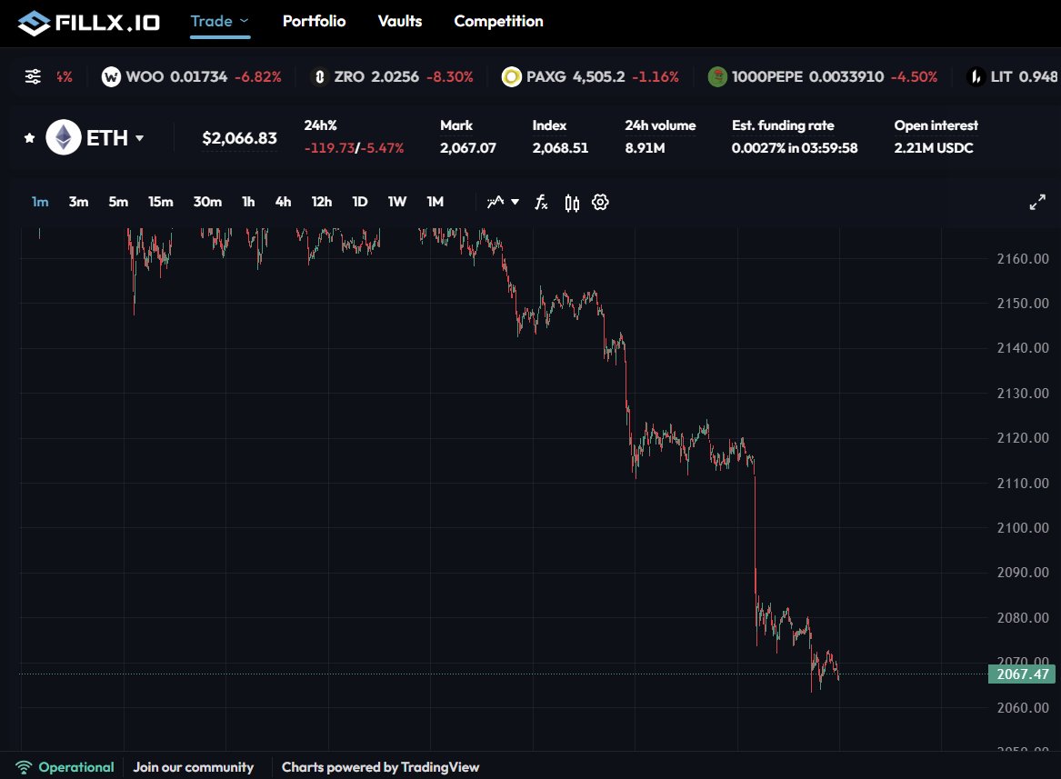 Jadoodoo tweet media