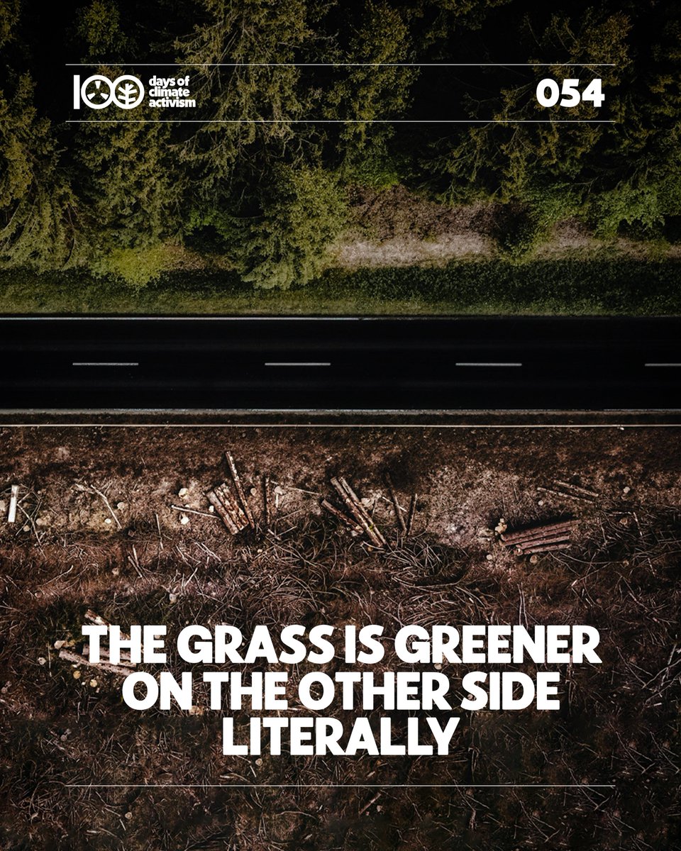 David Bujjadda tweet media