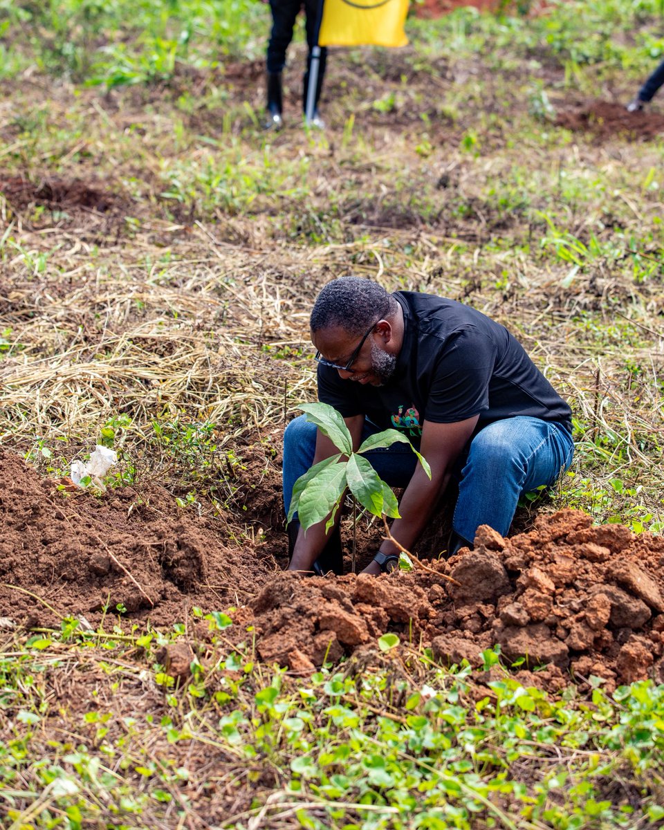 MTN Uganda tweet media