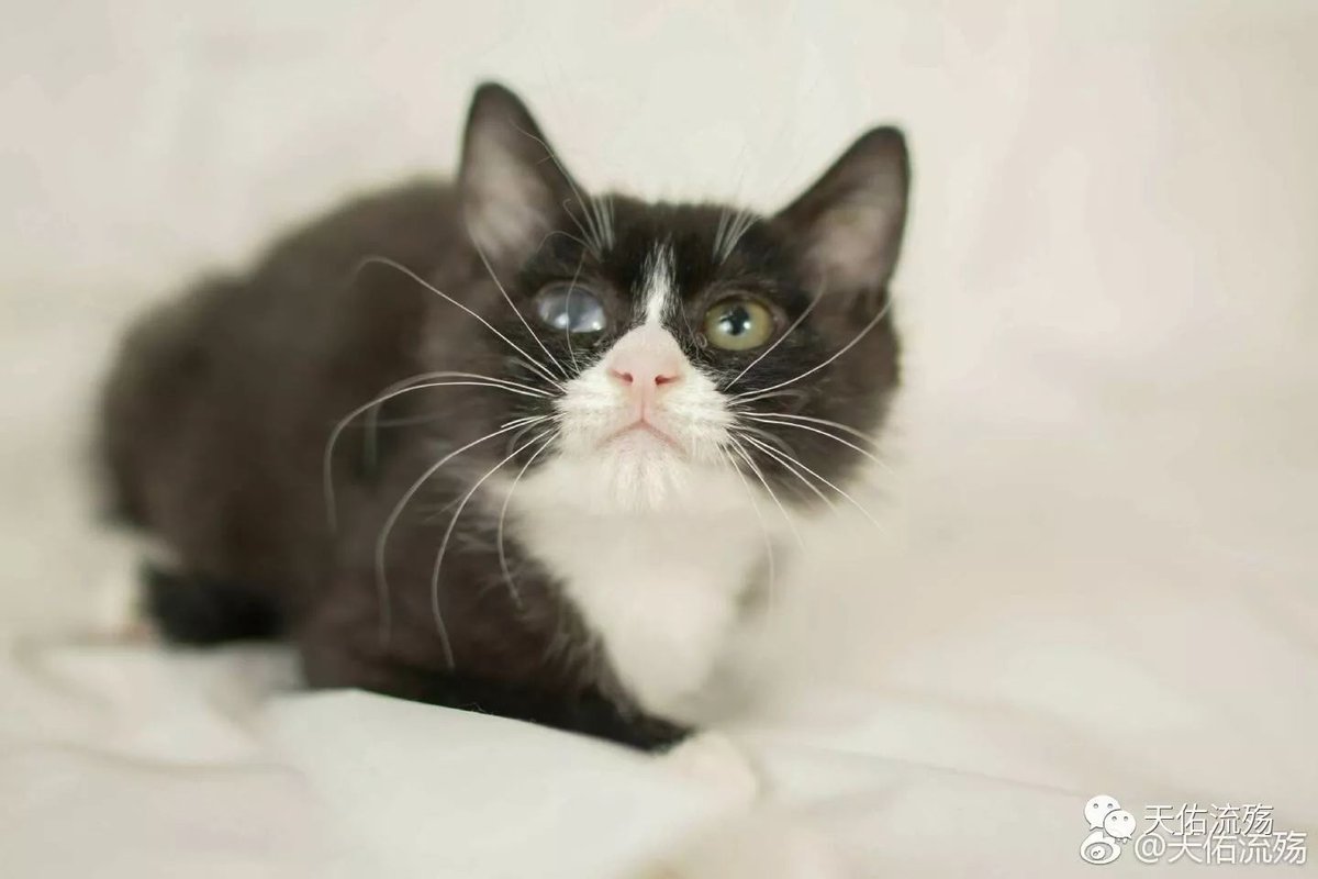 МедСпорт-Импорт tweet media