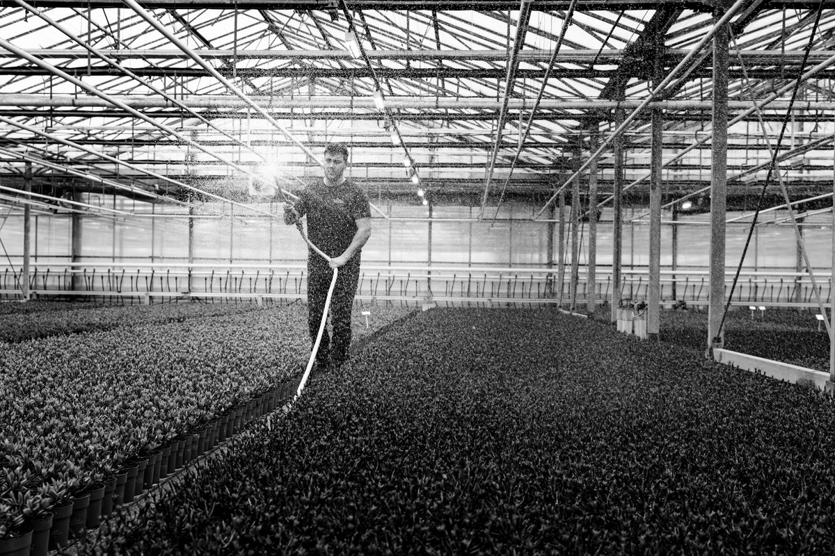 BASF Agro Nederland tweet media