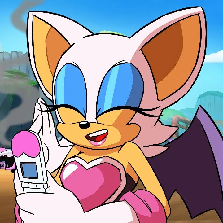 Rouge The Bat 🦇 tweet media