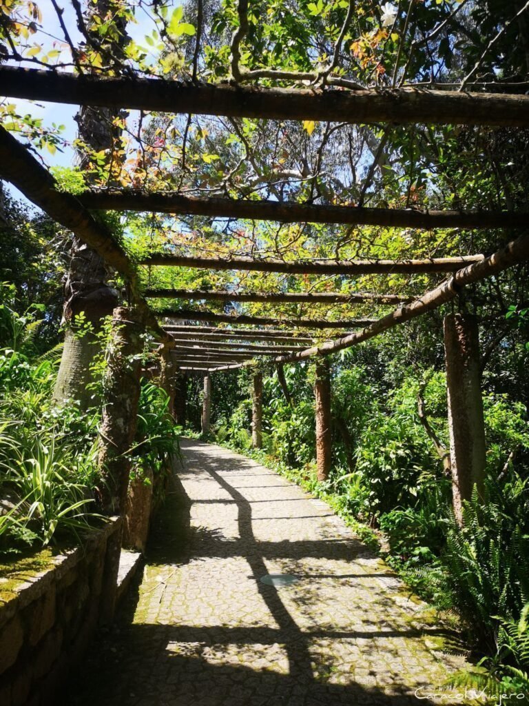 CaracolViajeroO's tweet image. 🏰#Sintra, un auténtico escenario de cuento que en abril está en su mejor momento🇵🇹. Los jardines estallan en colores verdosos 🌳y las temperaturas son perfectas para subir al castillo. #Viajes 👇caracolviajero.com.es/blog/sintra-qu…
