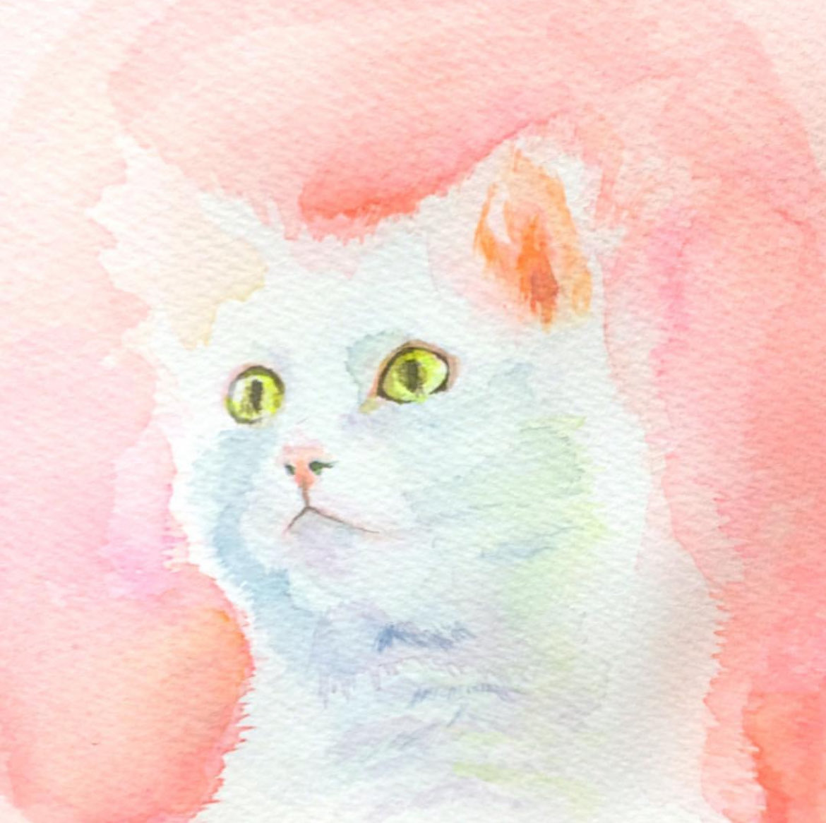 新林檎ShinRingo tweet media