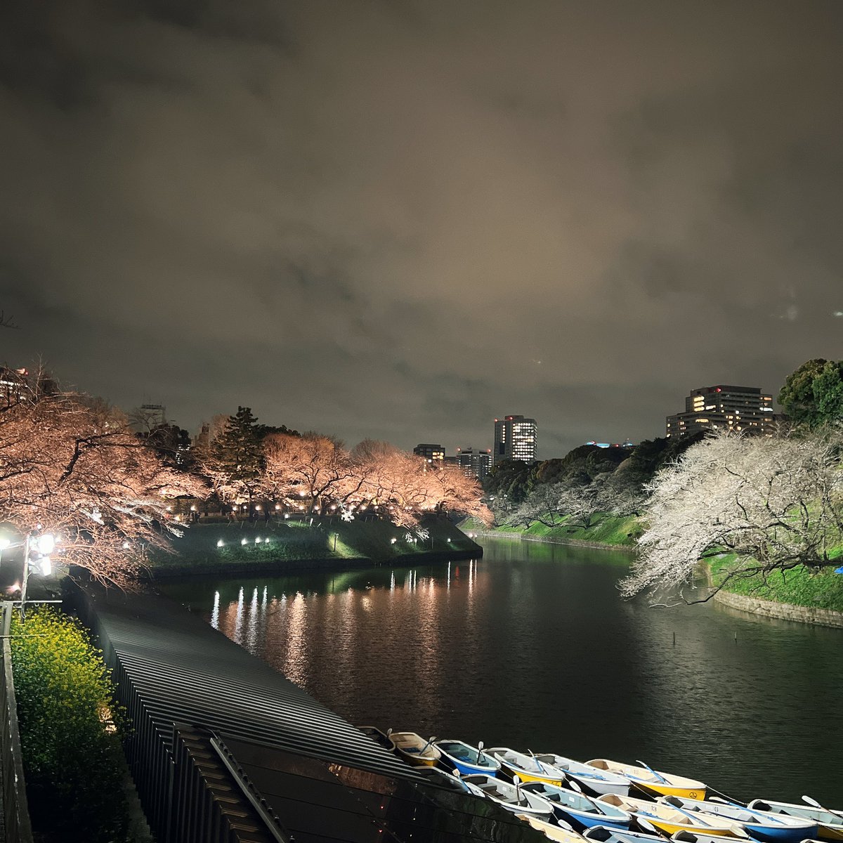 ニコニー🏃‍♀️マラソン2年生 tweet media