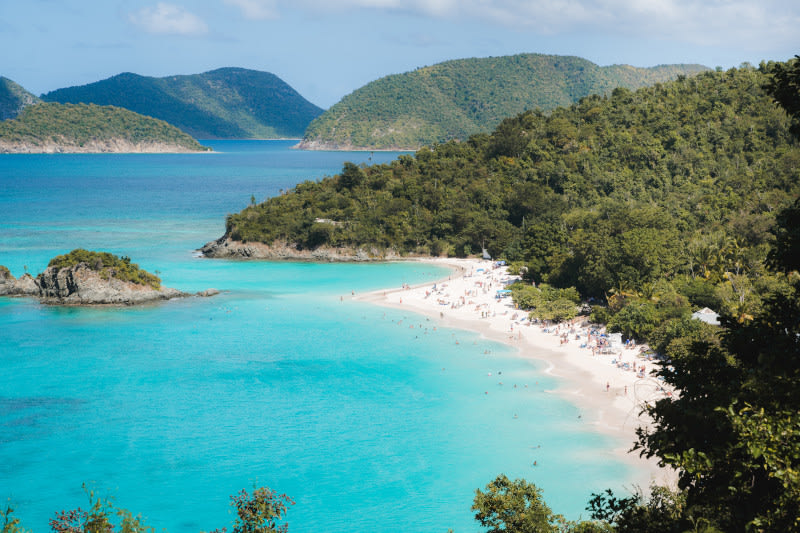 CruisePlanners_Dennis.DeVous tweet media