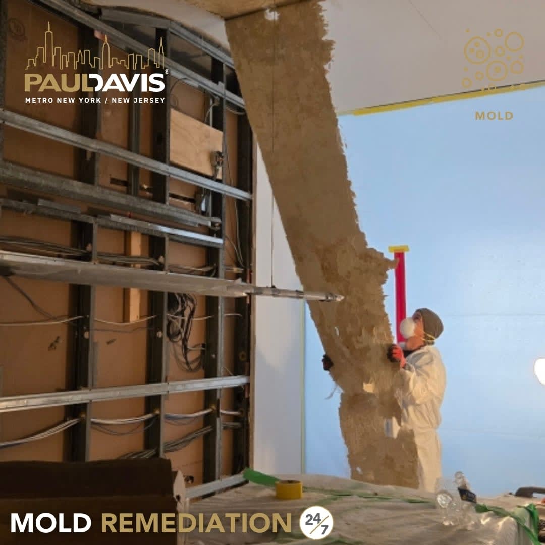 Mold can spread quickly and cause serious damage if left untreated. Our team at Paul Davis Restoration of Metro NY/NJ provided professional mold remediation to safely remove mold and restore a clean, healthy environment.

#MoldRemediation #MoldRemoval #PropertyDamage