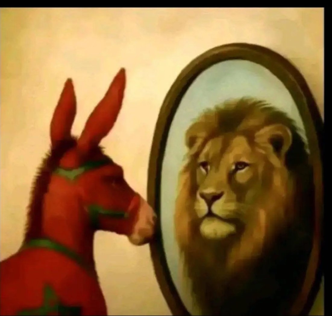 Alexandre Ndiaye tweet media