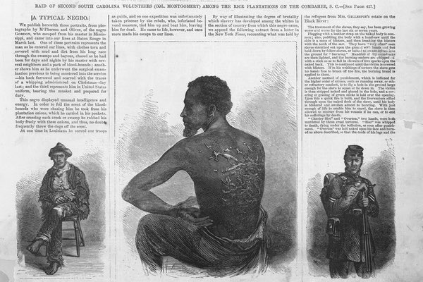 Dr. Allison Wiltz tweet media