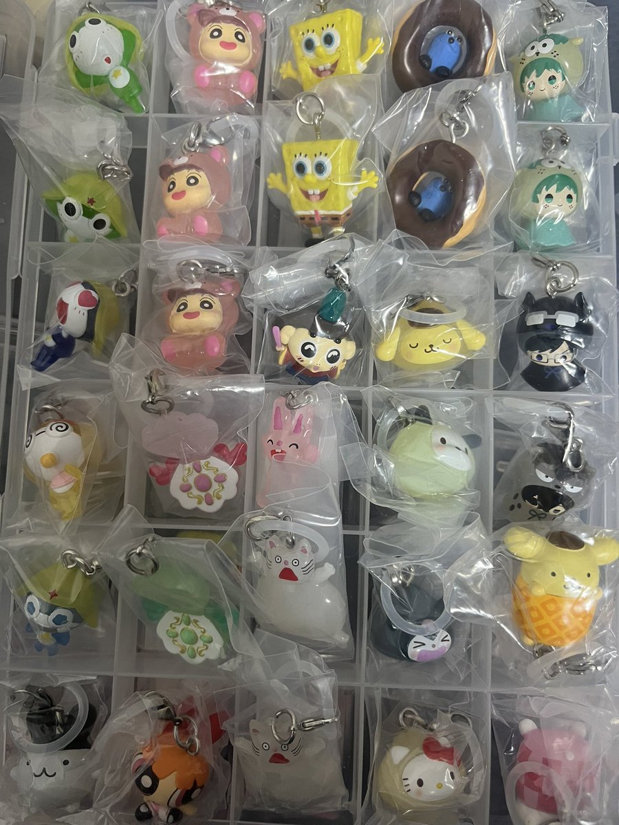 ちゃい🐝 tweet media