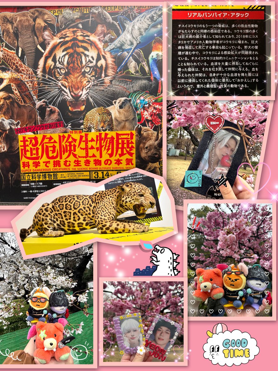 Hiro(*・ω・)ノ tweet media