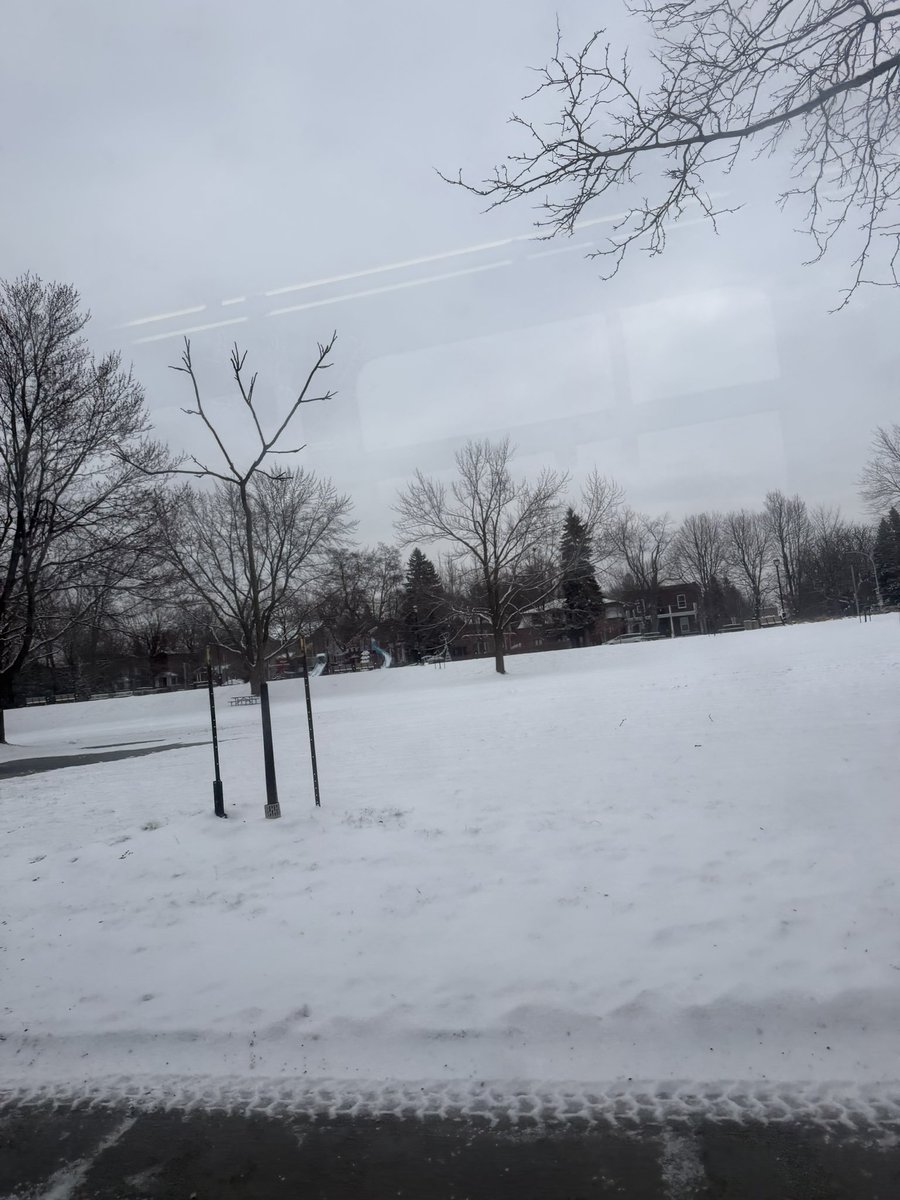 Marie 🇨🇦 tweet media