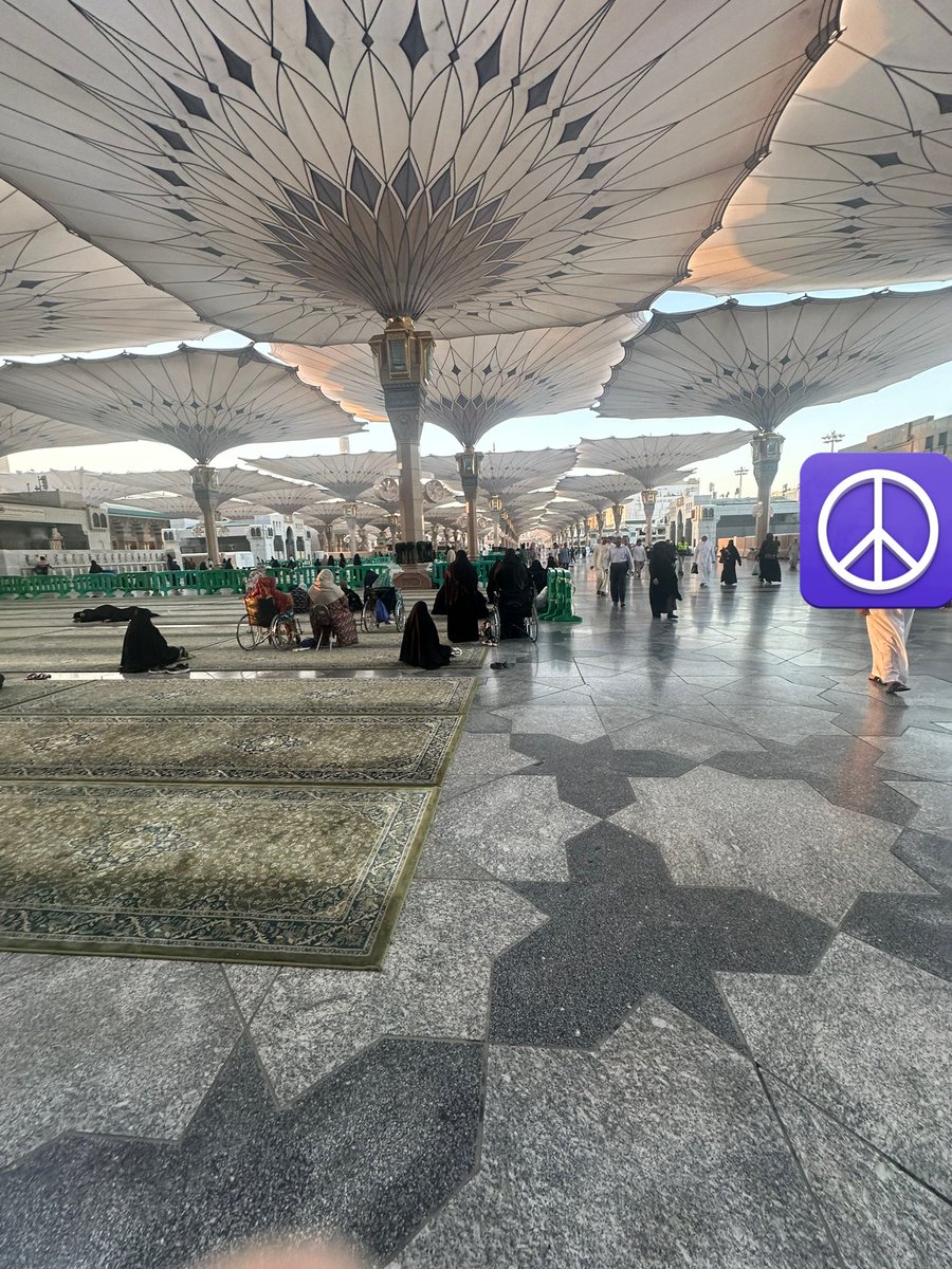 دُجى tweet media