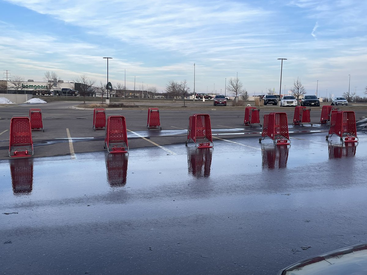 our beautiful rat king tweet media