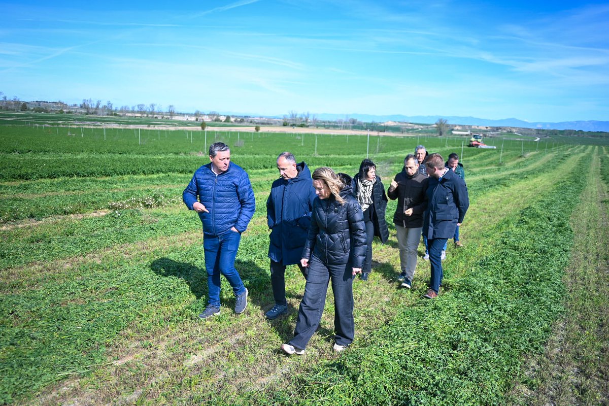 Fernando Sabés tweet media