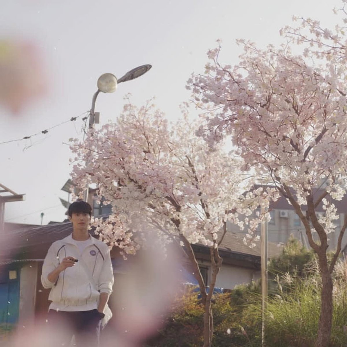 𝐡𝐚𝐧ᯓᡣ𐭩 tweet media