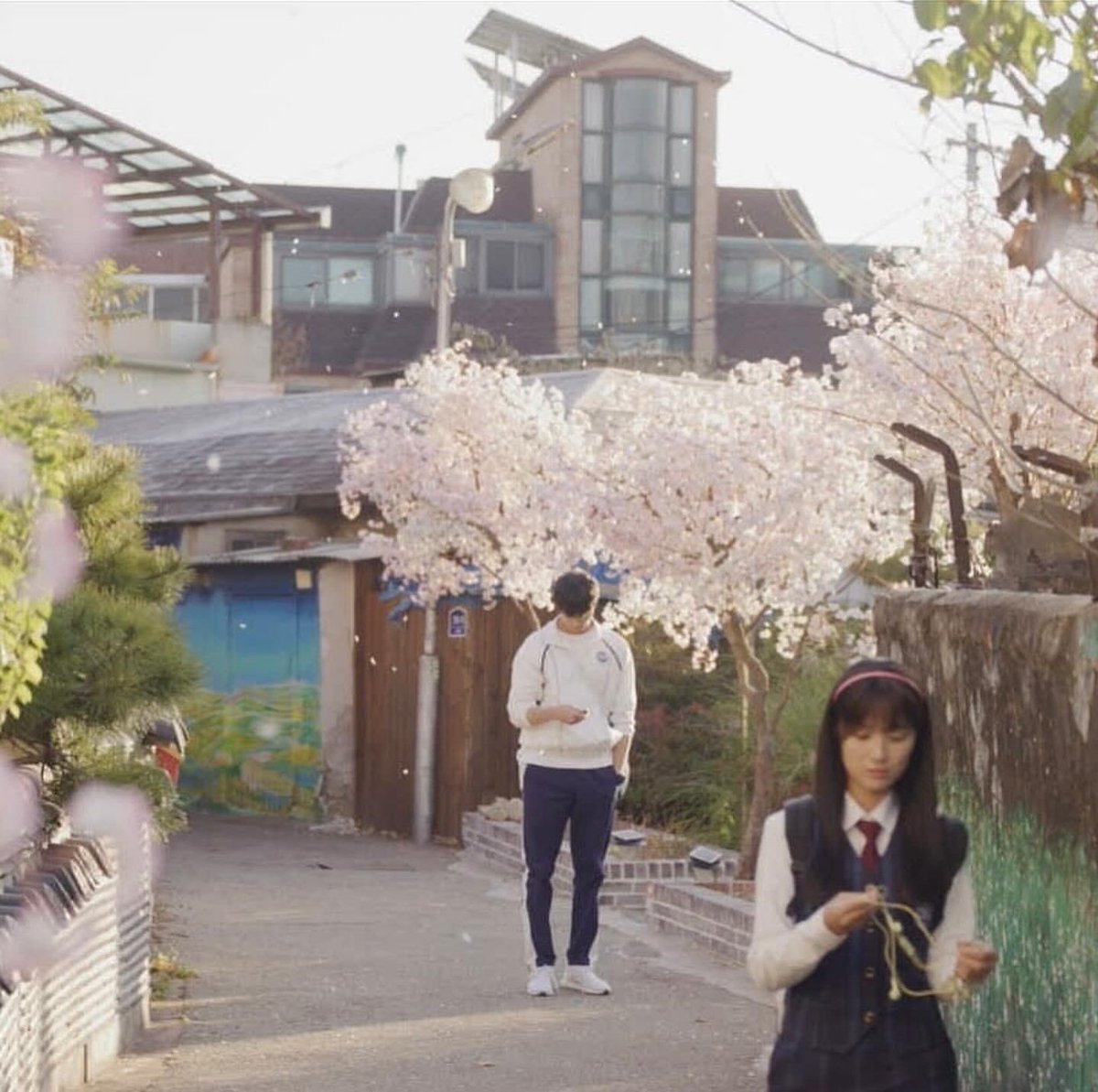 𝐡𝐚𝐧ᯓᡣ𐭩 tweet media