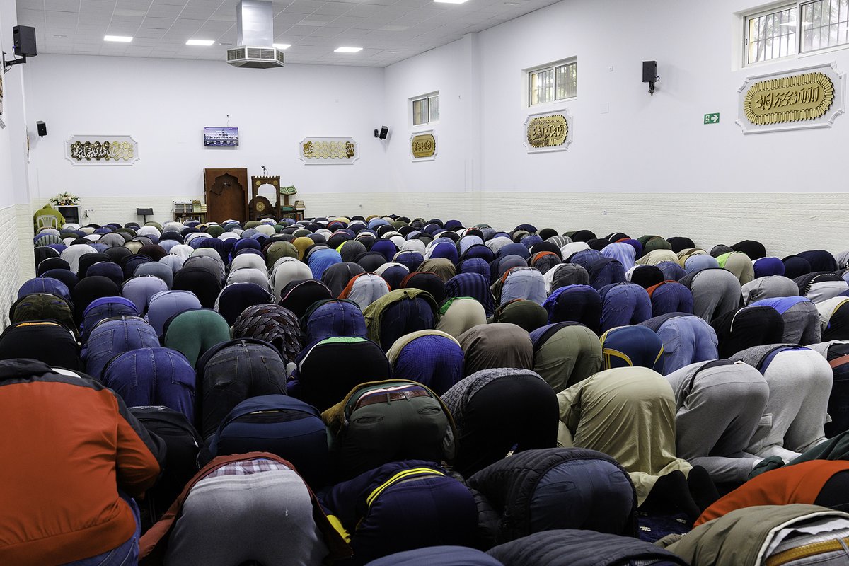 Miguel Gómez tweet media