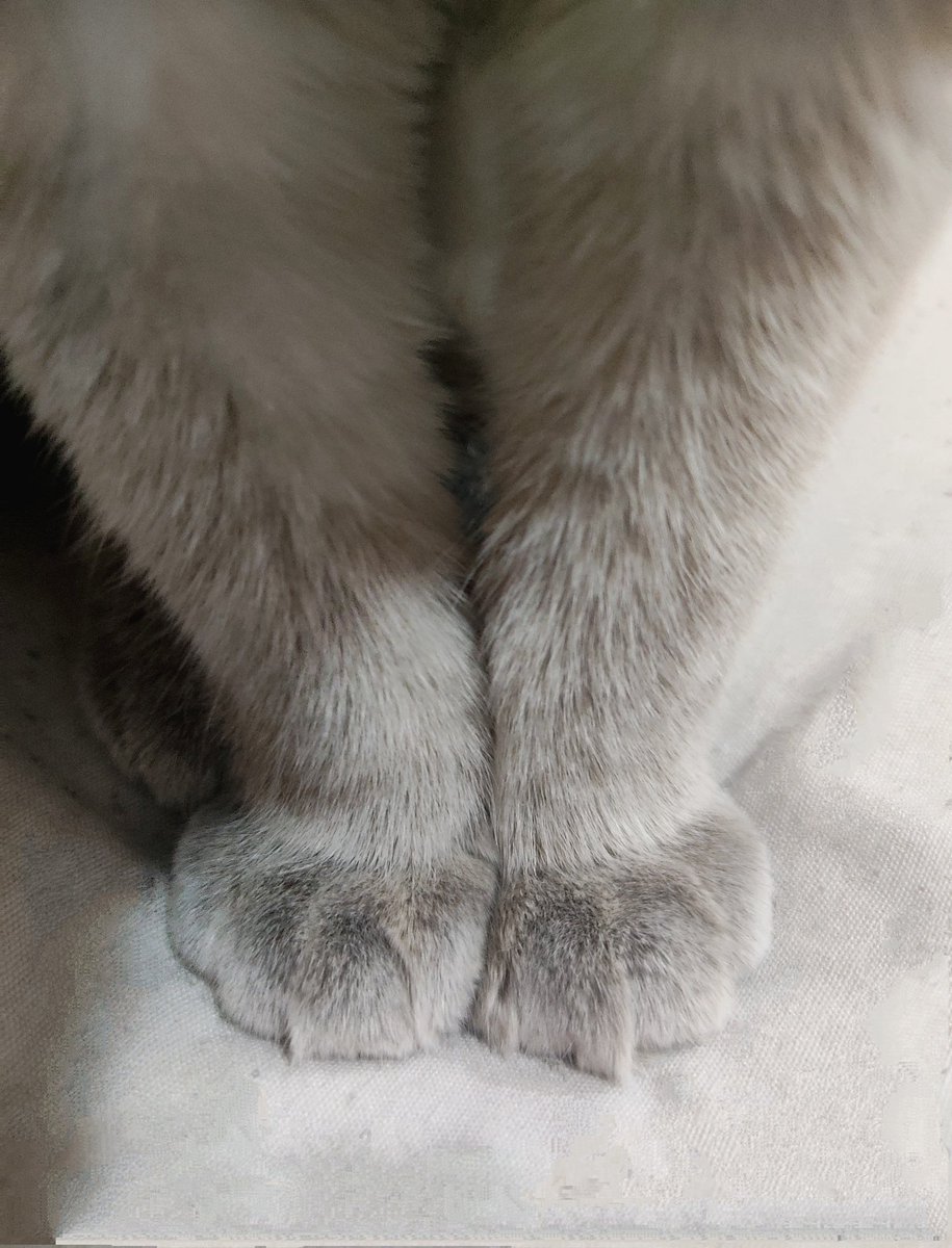 mert wan kenobi 🦇 tweet media