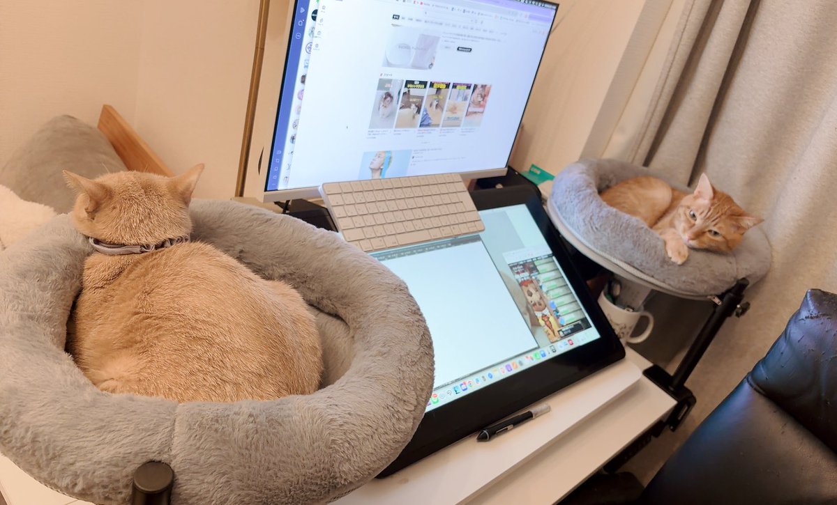 蛭塚都 tweet media